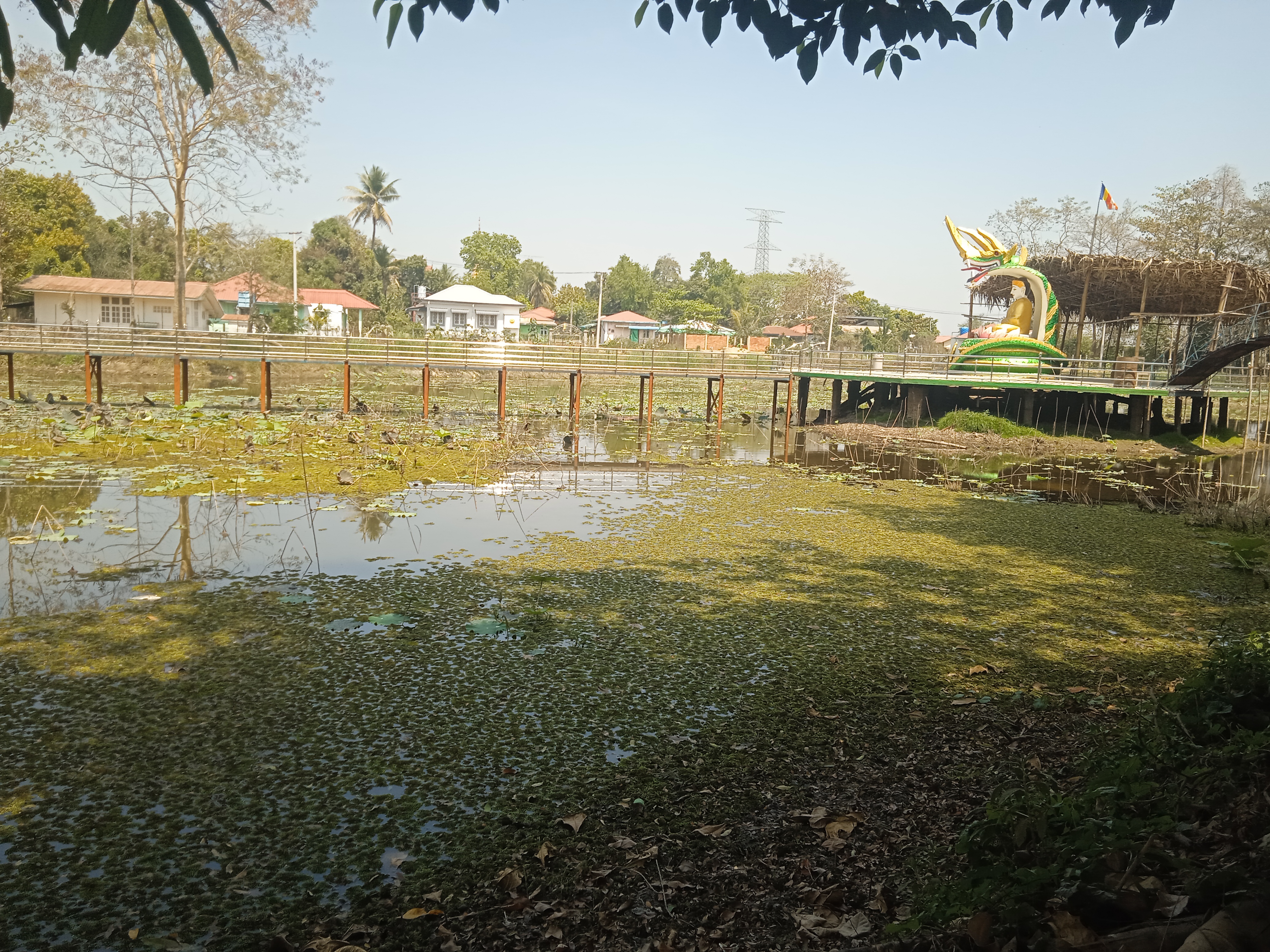 ကျောင်းတိုက်အတွင်းရှိ ရေကန်
